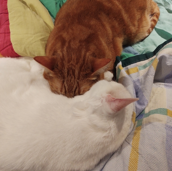 Meet your Posher, Jenna - Picture 4 of 5